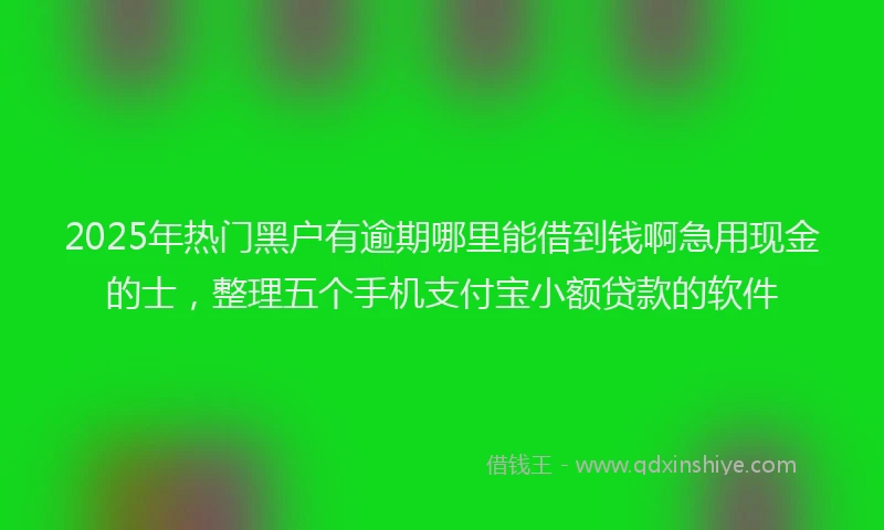2025年热门黑户有逾期哪里能借到钱啊急用现金的士，整理五个手机支付宝小额贷款的软件