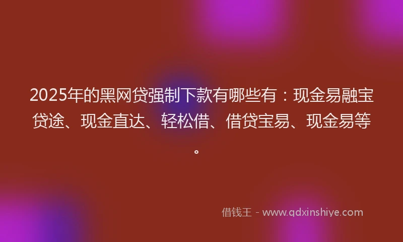 2025年的黑网贷强制下款有哪些有：现金易融宝贷途、现金直达、轻松借、借贷宝易、现金易等。
