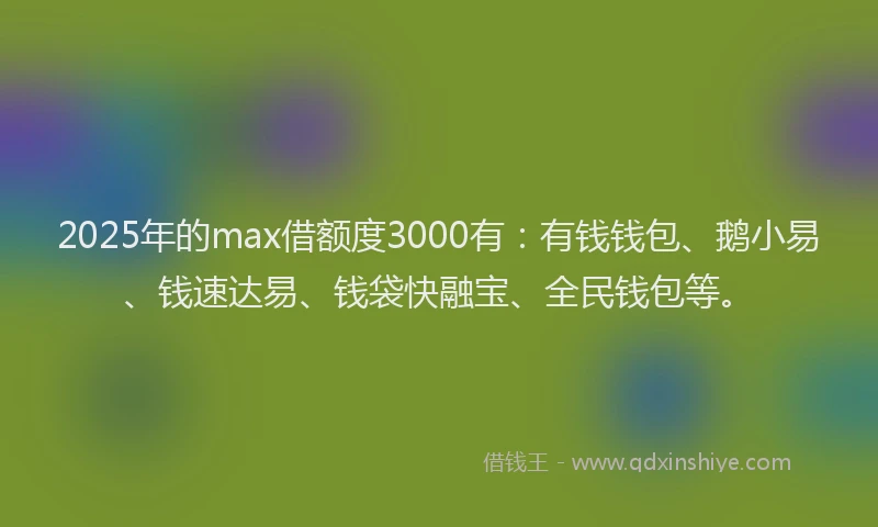 2025年的max借额度3000有：有钱钱包、鹅小易、钱速达易、钱袋快融宝、全民钱包等。