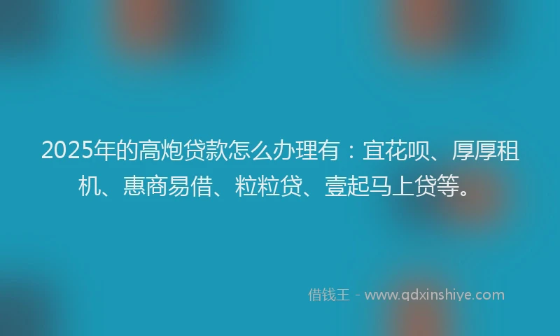 2025年的高炮贷款怎么办理有：宜花呗、厚厚租机、惠商易借、粒粒贷、壹起马上贷等。