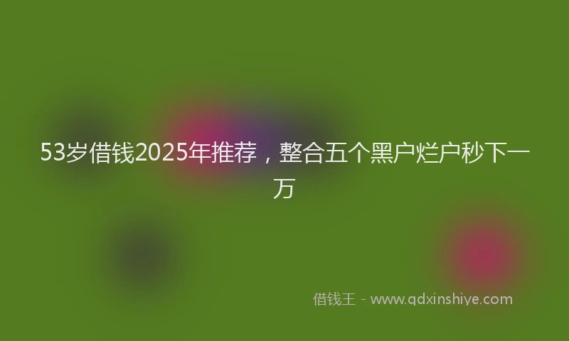53岁借钱2025年推荐，整合五个黑户烂户秒下一万