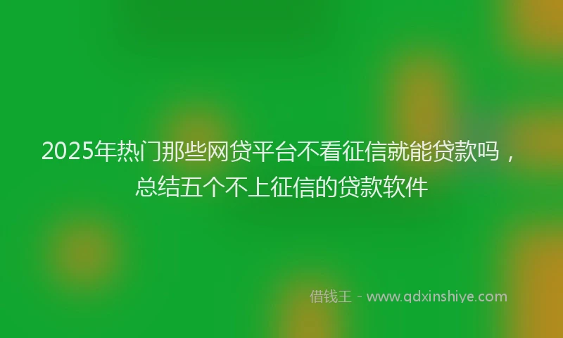 2025年热门那些网贷平台不看征信就能贷款吗，总结五个不上征信的贷款软件