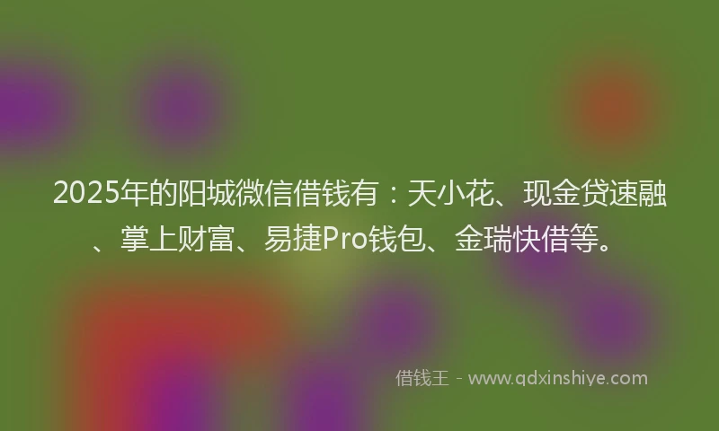 2025年的阳城微信借钱有：天小花、现金贷速融、掌上财富、易捷Pro钱包、金瑞快借等。