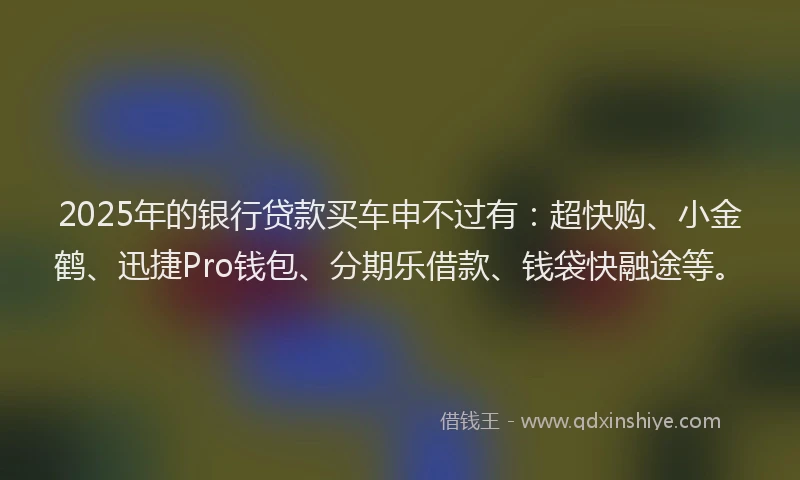 2025年的银行贷款买车申不过有：超快购、小金鹤、迅捷Pro钱包、分期乐借款、钱袋快融途等。