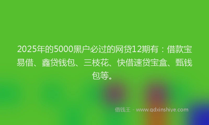 2025年的5000黑户必过的网贷12期有：借款宝易借、鑫贷钱包、三枝花、快借速贷宝盒、甄钱包等。