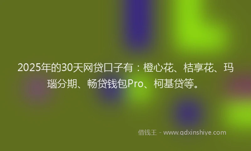 2025年的30天网贷口子有：橙心花、桔享花、玛瑙分期、畅贷钱包Pro、柯基贷等。