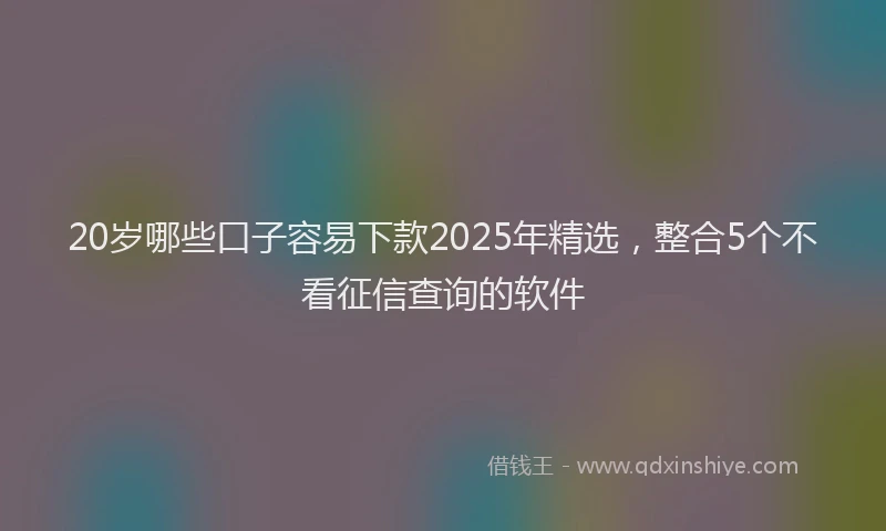 20岁哪些口子容易下款2025年精选，整合5个不看征信查询的软件