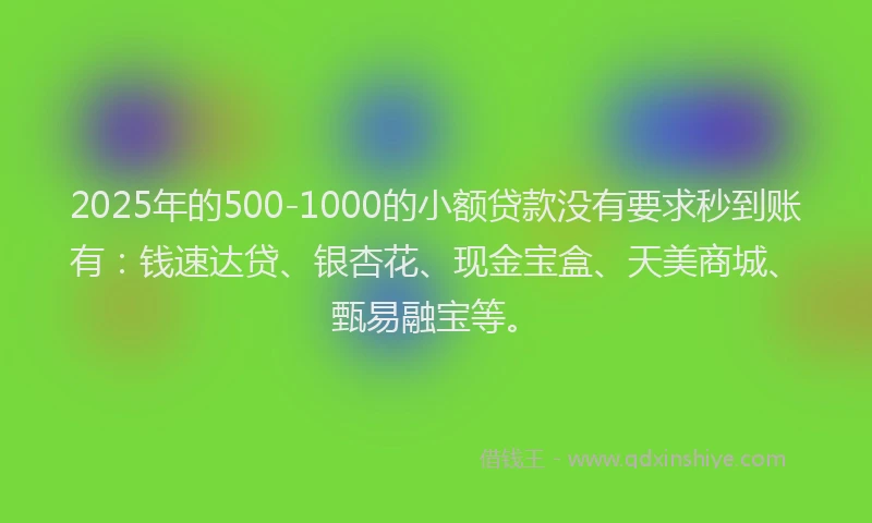 2025年的500-1000的小额贷款没有要求秒到账有：钱速达贷、银杏花、现金宝盒、天美商城、甄易融宝等。