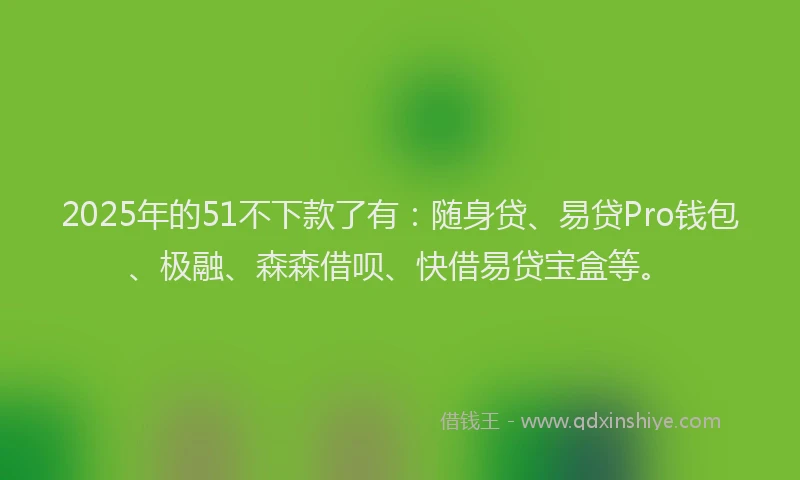 2025年的51不下款了有：随身贷、易贷Pro钱包、极融、森森借呗、快借易贷宝盒等。