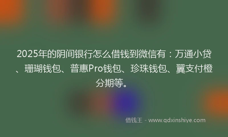 2025年的阴间银行怎么借钱到微信有：万通小贷、珊瑚钱包、普惠Pro钱包、珍珠钱包、翼支付橙分期等。
