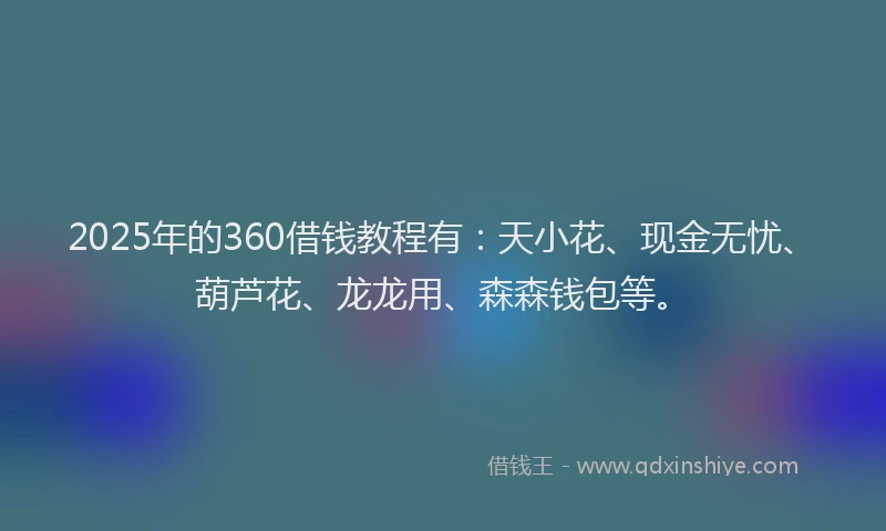 2025年的360借钱教程有：天小花、现金无忧、葫芦花、龙龙用、森森钱包等。