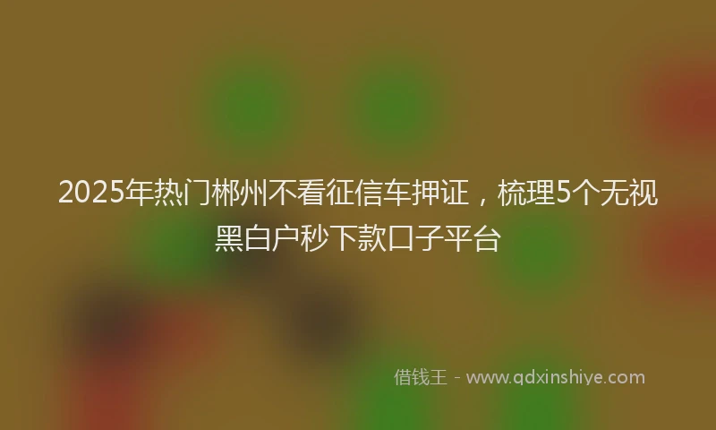2025年热门郴州不看征信车押证，梳理5个无视黑白户秒下款口子平台