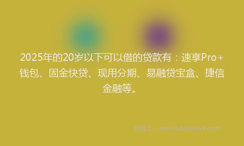 2025年的20岁以下可以借的贷款有：速享Pro+钱包、固金快贷、现用分期、易融贷宝盒、捷信金融等。