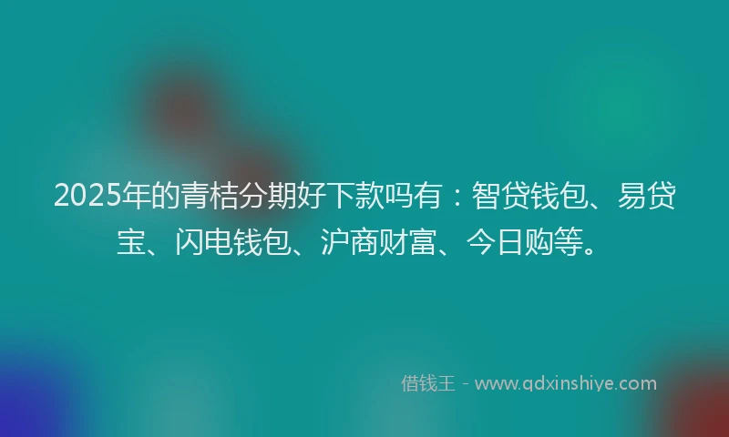 2025年的青桔分期好下款吗有：智贷钱包、易贷宝、闪电钱包、沪商财富、今日购等。
