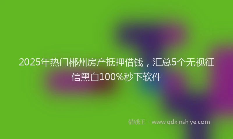 2025年热门郴州房产抵押借钱，汇总5个无视征信黑白100%秒下软件