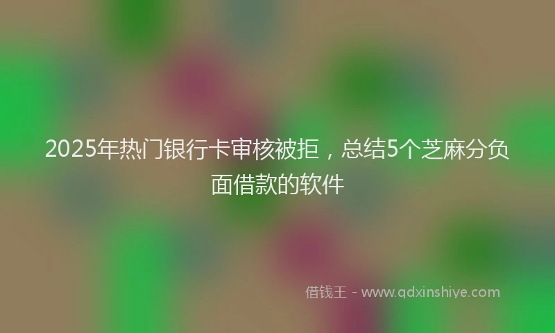 2025年热门银行卡审核被拒，总结5个芝麻分负面借款的软件