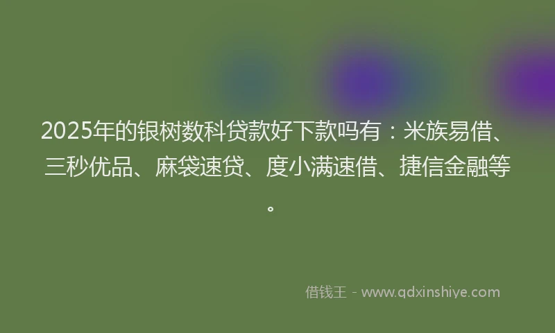 2025年的银树数科贷款好下款吗有：米族易借、三秒优品、麻袋速贷、度小满速借、捷信金融等。