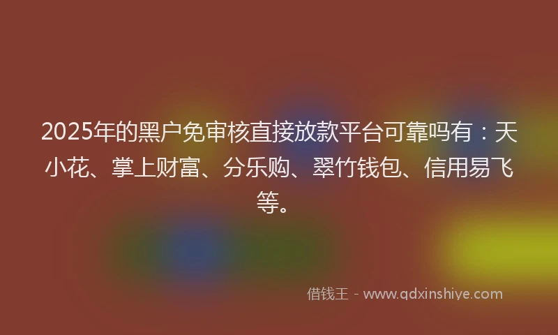 2025年的黑户免审核直接放款平台可靠吗有：天小花、掌上财富、分乐购、翠竹钱包、信用易飞等。