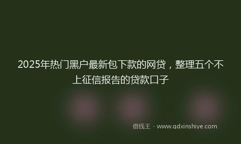 2025年热门黑户最新包下款的网贷，整理五个不上征信报告的贷款口子