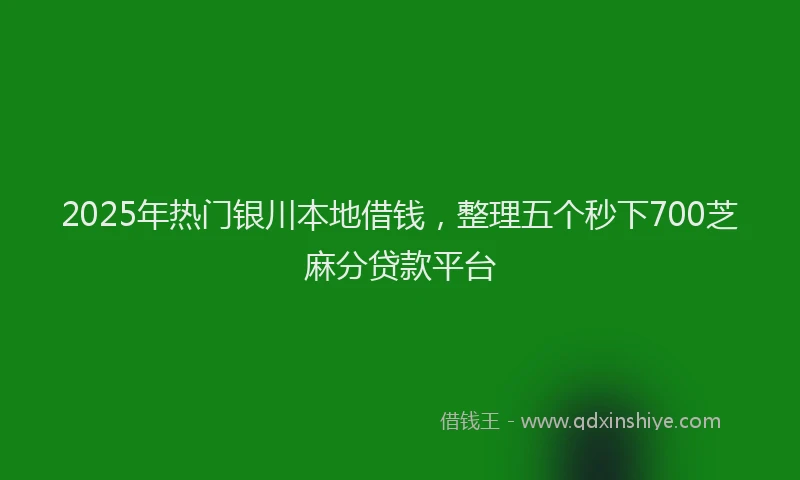 2025年热门银川本地借钱，整理五个秒下700芝麻分贷款平台