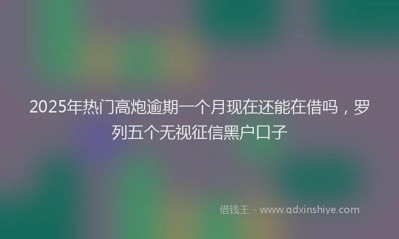 2025年热门高炮逾期一个月现在还能在借吗，罗列五个无视征信黑户口子
