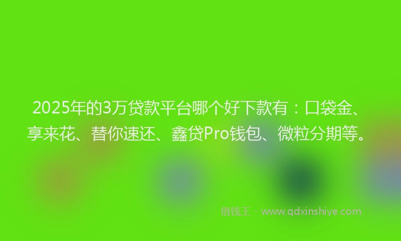 2025年的3万贷款平台哪个好下款有：口袋金、享来花、替你速还、鑫贷Pro钱包、微粒分期等。