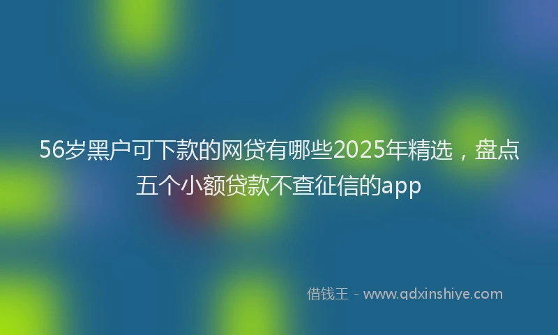 56岁黑户可下款的网贷有哪些2025年精选，盘点五个小额贷款不查征信的app