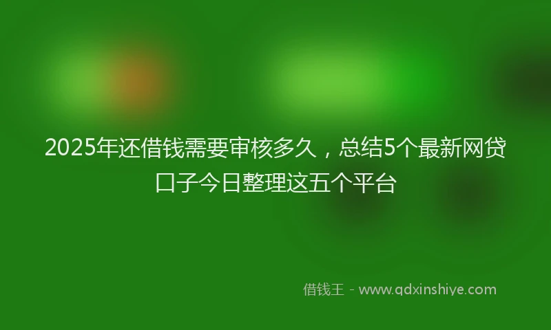2025年还借钱需要审核多久，总结5个最新网贷口子今日整理这五个平台