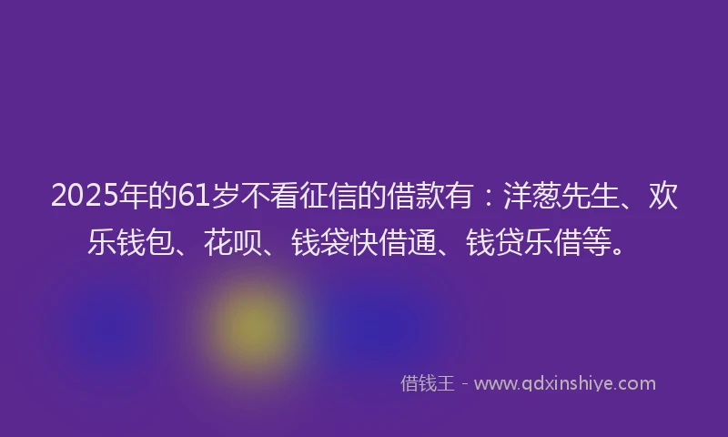 2025年的61岁不看征信的借款有：洋葱先生、欢乐钱包、花呗、钱袋快借通、钱贷乐借等。
