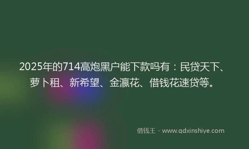2025年的714高炮黑户能下款吗有：民贷天下、萝卜租、新希望、金瀛花、借钱花速贷等。