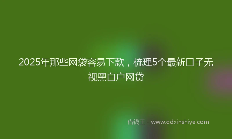 2025年那些网袋容易下款，梳理5个最新口子无视黑白户网贷