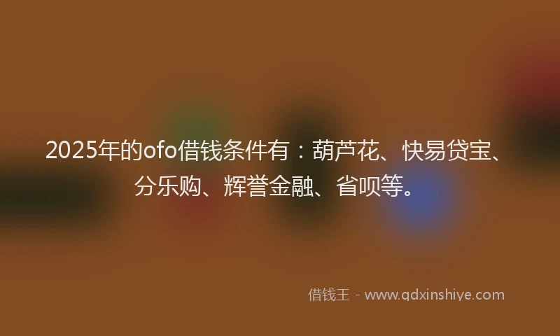 2025年的ofo借钱条件有：葫芦花、快易贷宝、分乐购、辉誉金融、省呗等。