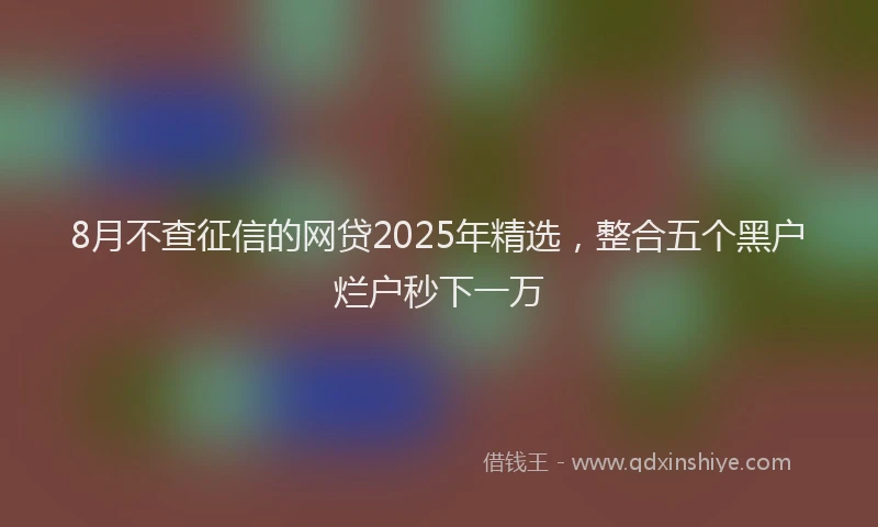 8月不查征信的网贷2025年精选，整合五个黑户烂户秒下一万