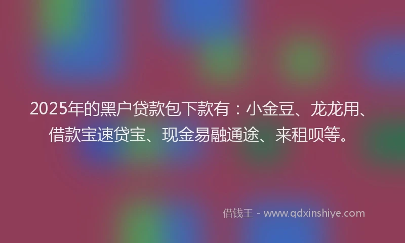 2025年的黑户贷款包下款有：小金豆、龙龙用、借款宝速贷宝、现金易融通途、来租呗等。