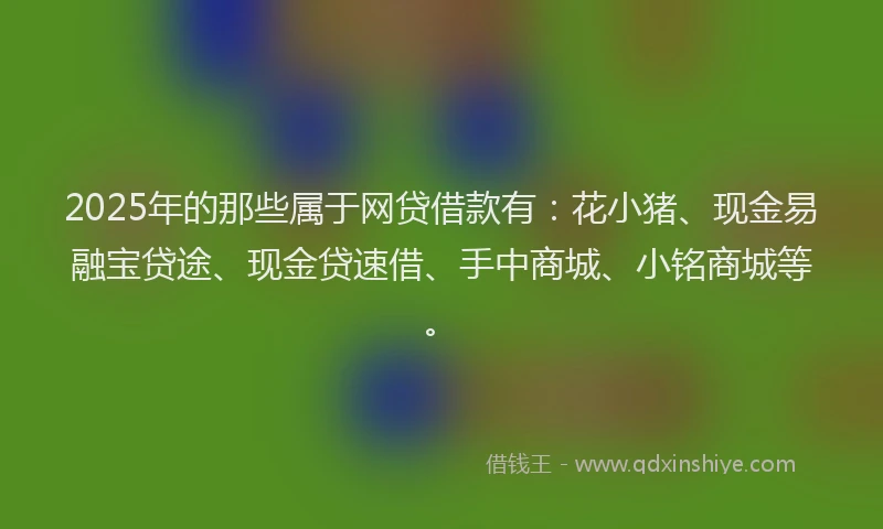 2025年的那些属于网贷借款有：花小猪、现金易融宝贷途、现金贷速借、手中商城、小铭商城等。