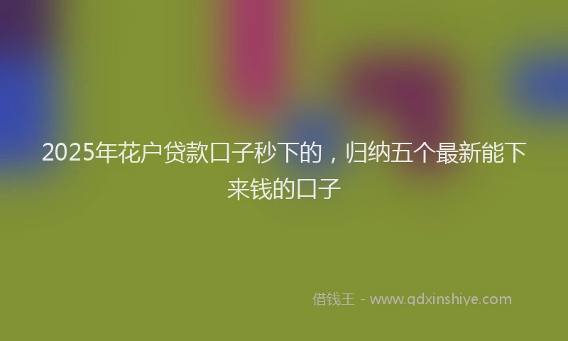 2025年花户贷款口子秒下的，归纳五个最新能下来钱的口子