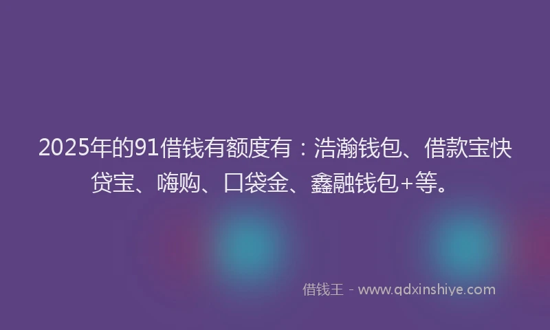 2025年的91借钱有额度有：浩瀚钱包、借款宝快贷宝、嗨购、口袋金、鑫融钱包+等。