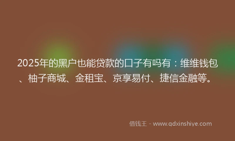 2025年的黑户也能贷款的口子有吗有：维维钱包、柚子商城、金租宝、京享易付、捷信金融等。