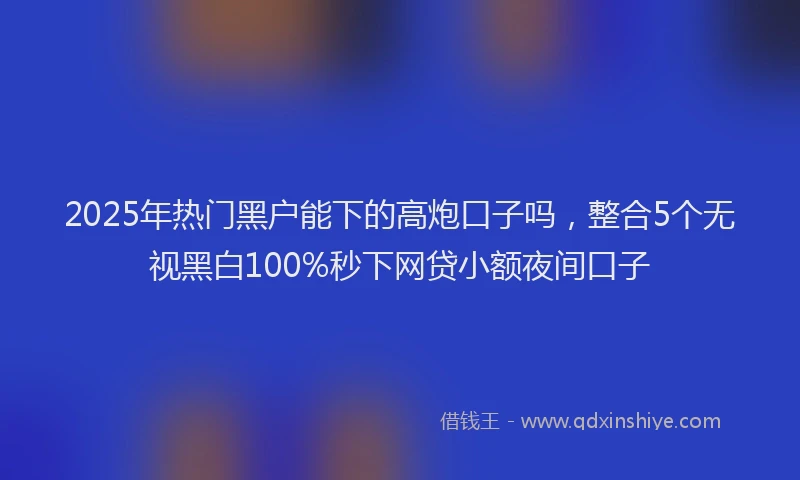 2025年热门黑户能下的高炮口子吗，整合5个无视黑白100%秒下网贷小额夜间口子