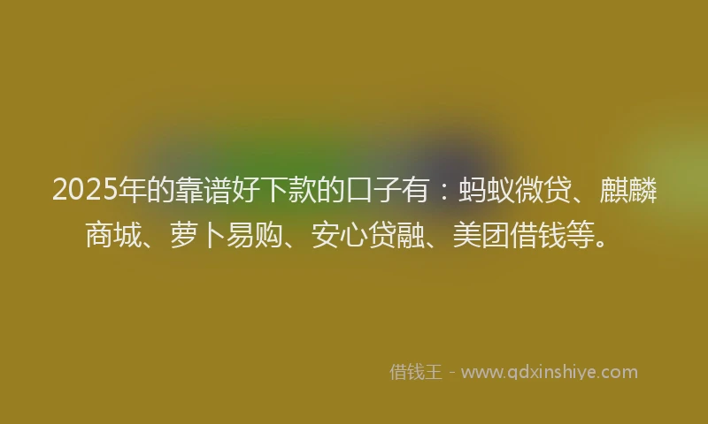 2025年的靠谱好下款的口子有：蚂蚁微贷、麒麟商城、萝卜易购、安心贷融、美团借钱等。