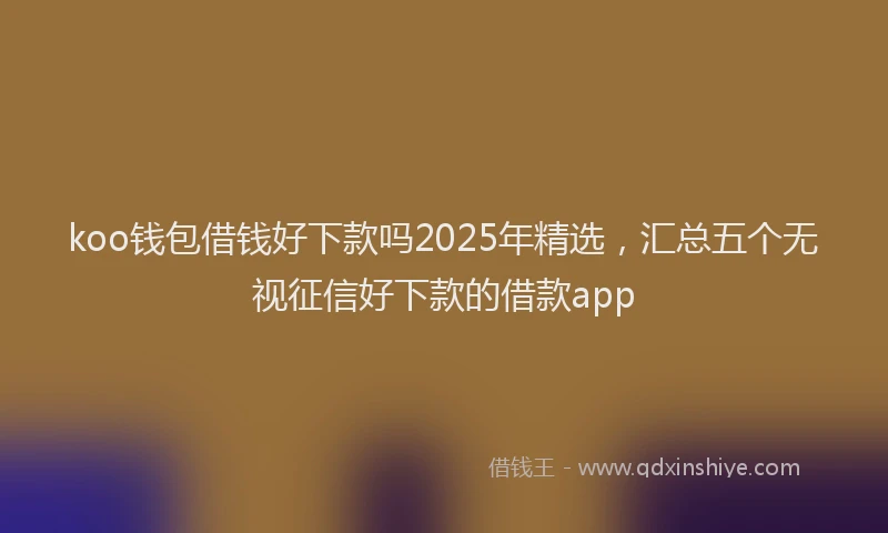 koo钱包借钱好下款吗2025年精选，汇总五个无视征信好下款的借款app