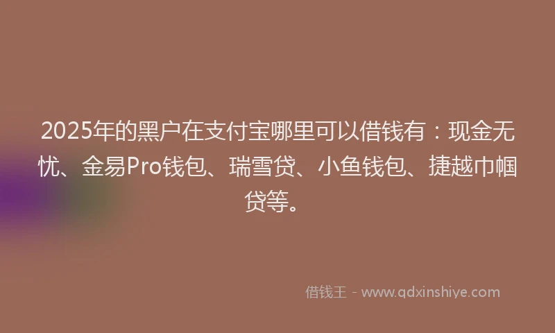 2025年的黑户在支付宝哪里可以借钱有：现金无忧、金易Pro钱包、瑞雪贷、小鱼钱包、捷越巾帼贷等。
