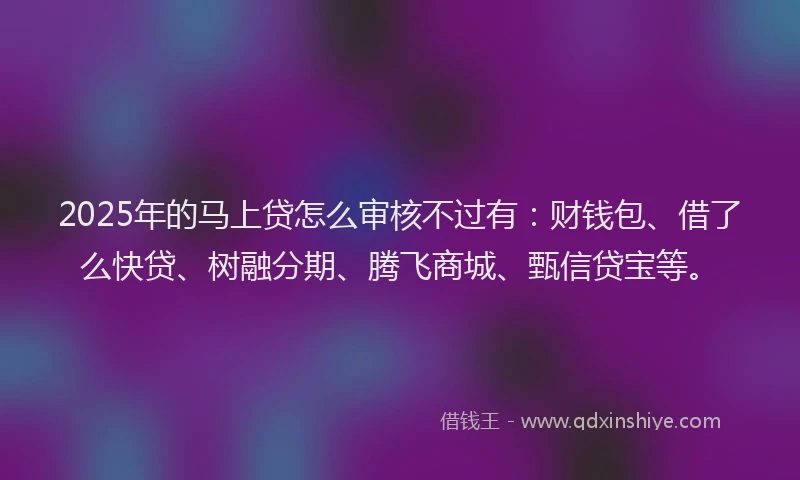 2025年的马上贷怎么审核不过有：财钱包、借了么快贷、树融分期、腾飞商城、甄信贷宝等。