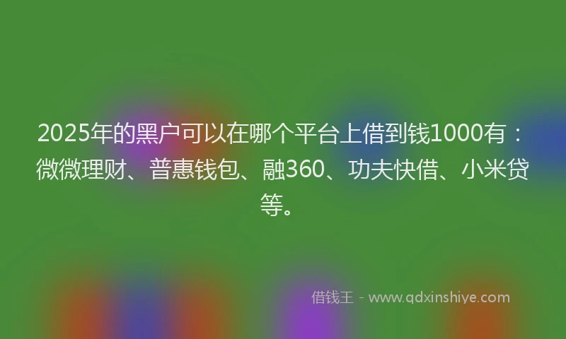 2025年的黑户可以在哪个平台上借到钱1000有：微微理财、普惠钱包、融360、功夫快借、小米贷等。