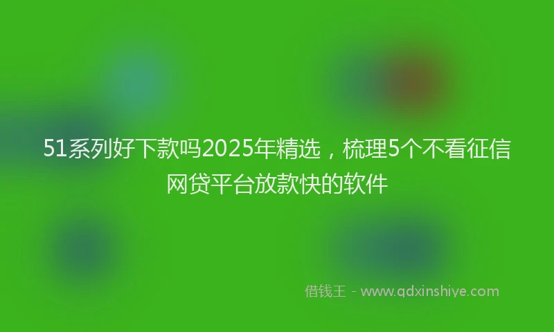 51系列好下款吗2025年精选，梳理5个不看征信网贷平台放款快的软件