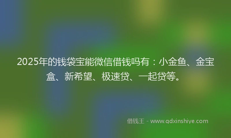 2025年的钱袋宝能微信借钱吗有：小金鱼、金宝盒、新希望、极速贷、一起贷等。