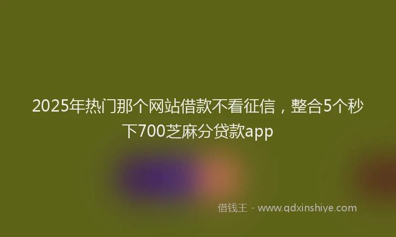 2025年热门那个网站借款不看征信，整合5个秒下700芝麻分贷款app