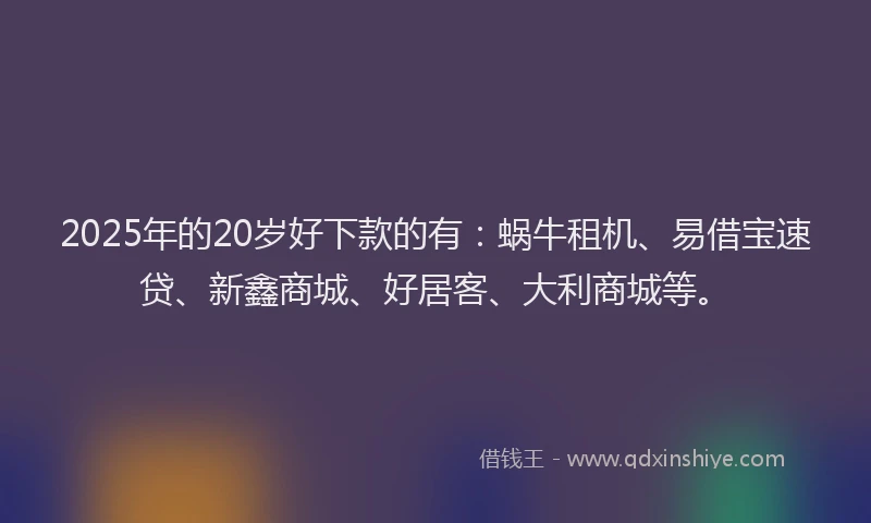 2025年的20岁好下款的有：蜗牛租机、易借宝速贷、新鑫商城、好居客、大利商城等。