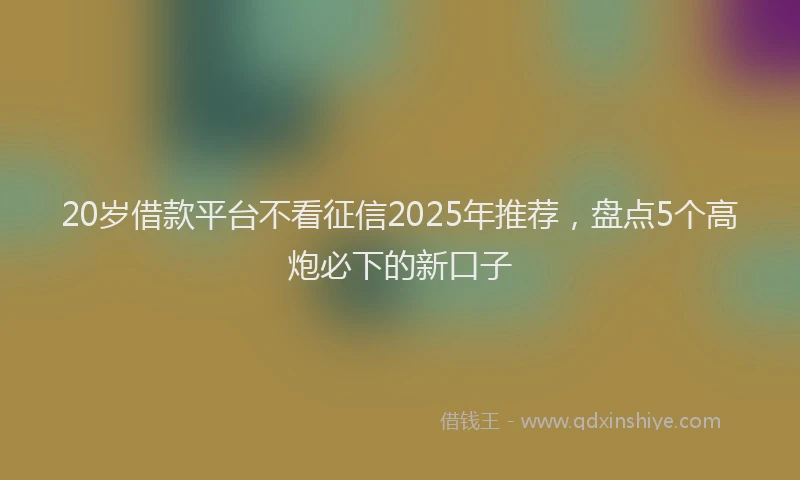 20岁借款平台不看征信2025年推荐，盘点5个高炮必下的新口子