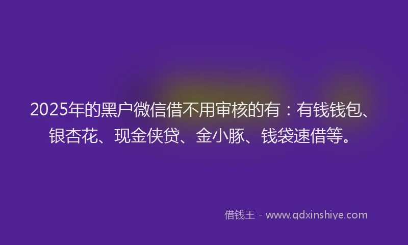2025年的黑户微信借不用审核的有：有钱钱包、银杏花、现金侠贷、金小豚、钱袋速借等。